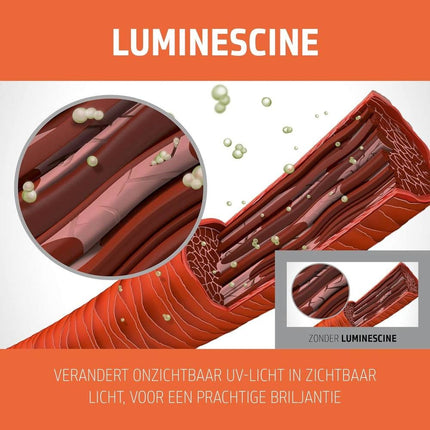 Goldwell Dualsenses Color Revive Shampoo - 250ml