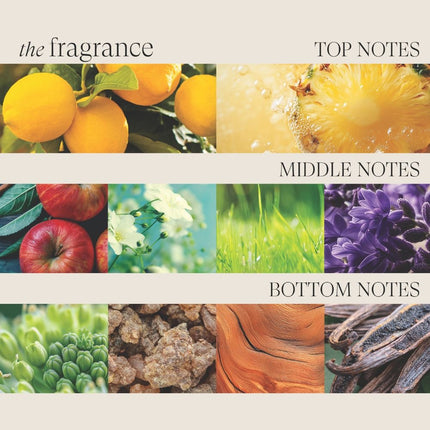 LANZA Healing ColorCare Color-Preserving Shampoo