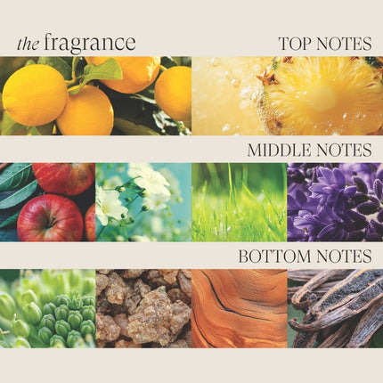 LANZA Healing ColorCare Trauma Treatment - 150ml