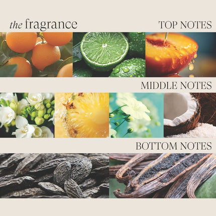 LANZA Healing Moisture Kukui Nut Conditioner - 250ml