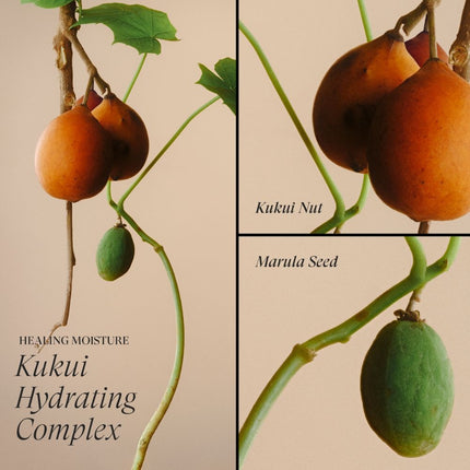 LANZA Healing Moisture Kukui Nut Conditioner - 250ml