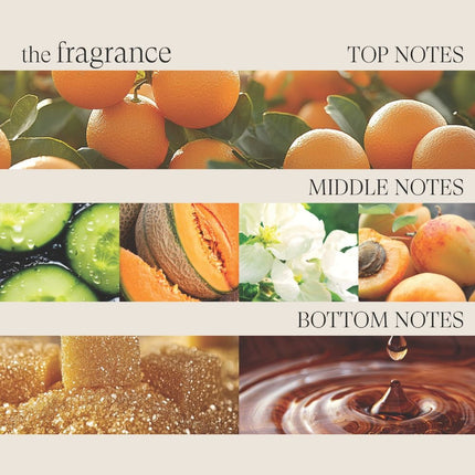 LANZA Healing Strength Neem Plant Silk Serum - 100ml