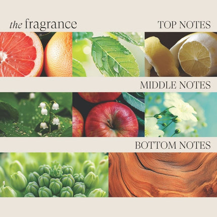 LANZA Healing Volume Thickening Conditioner - 250ml