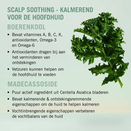 Schwarzkopf BC Scalp Care Soothing Shampoo