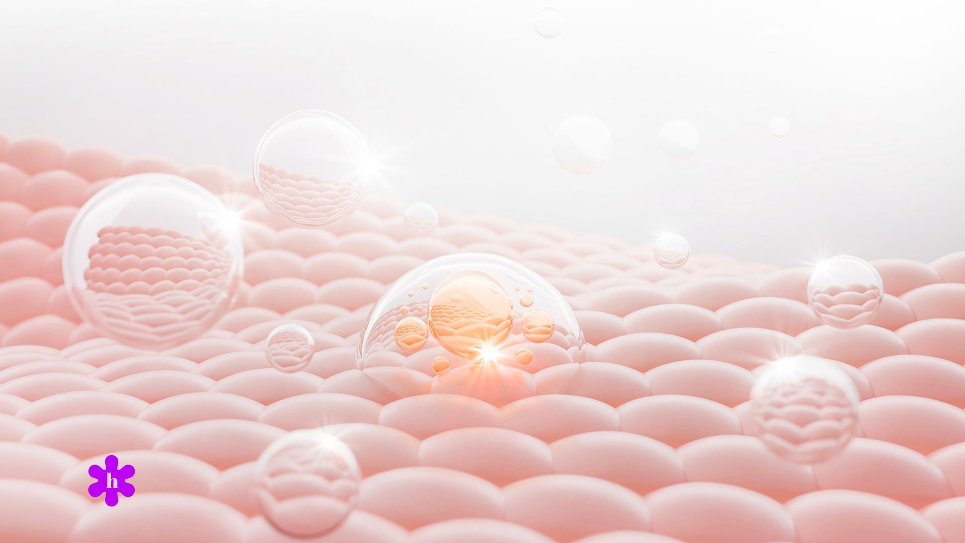 Het huidmicrobioom begrijpen: zo versterk je je huidbarrière