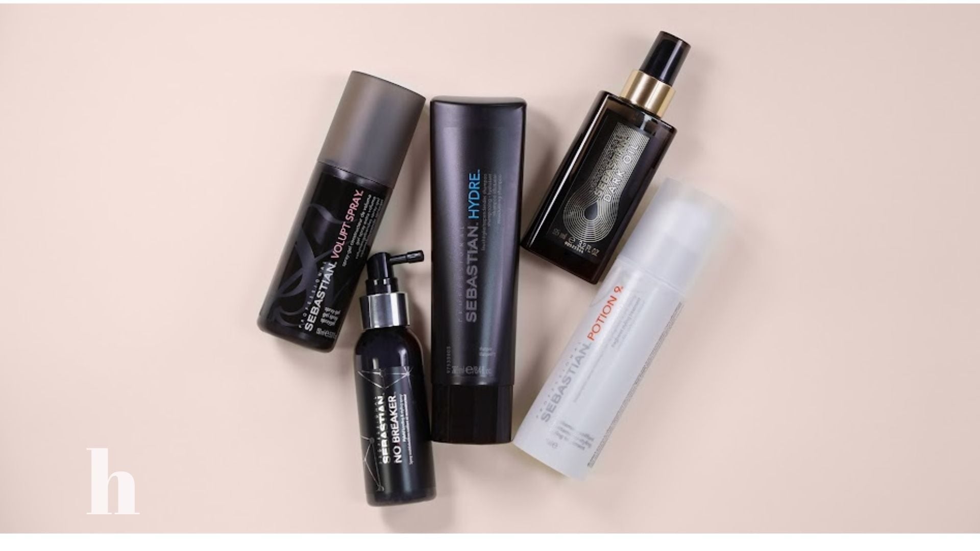 Banner-Blog-Sebastian-For-Everyone