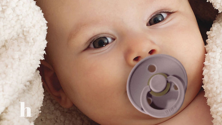 Blog BIBS