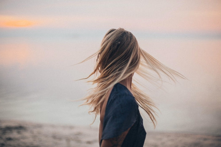 Blog-Roos