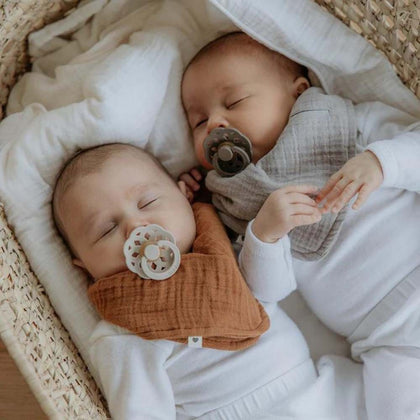 BIBS Boheme 2 Pack - Ivory/Blossom Spenen