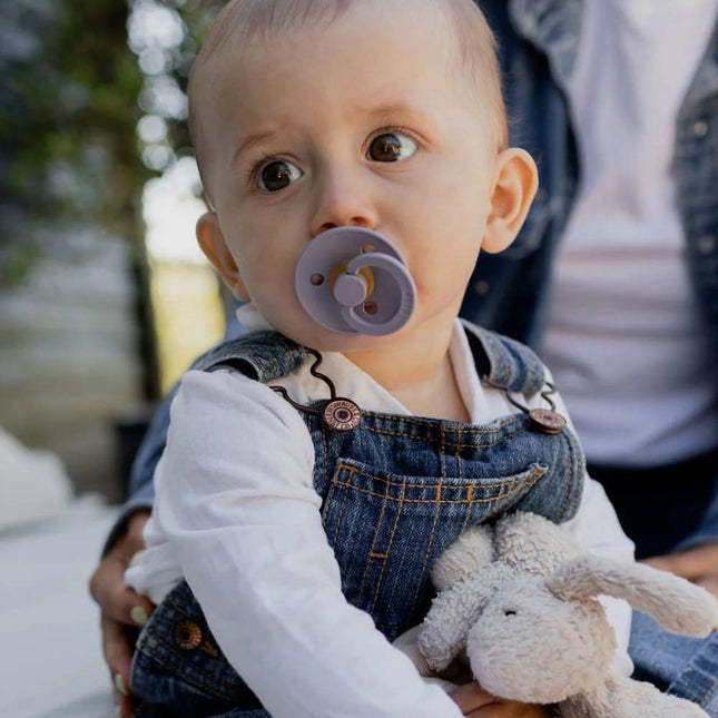 BIBS Colour 2 Pack - Fossil Grey/Mauve Spenen