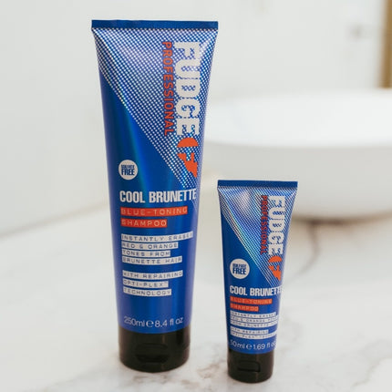 Fudge Coole Brunette Shampoo