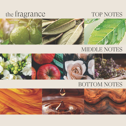 LANZA Healing Style Smoother Staightening Balm - 200ml