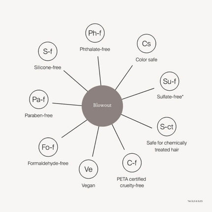 Living Proof Style Lab® Blowout - 148ml