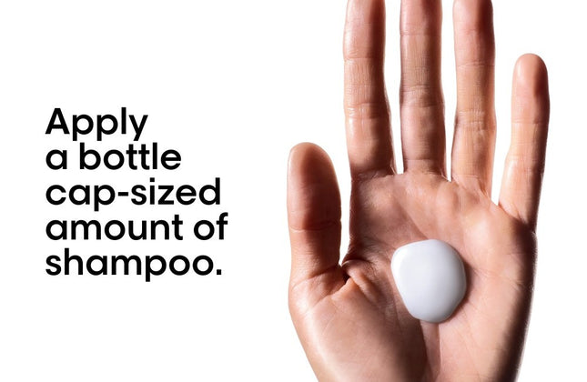 L'Oreal Metal Detox Shampoo Refill