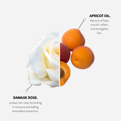 Metamorphose Color Vibrance Shampoo