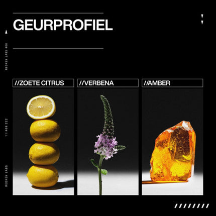 Redken Acidic Grow Instant Volume Duo - 300+190ml