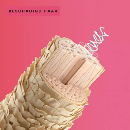 Schwarzkopf R-Two Reset + Rescue Set - 250+200ml