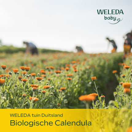 Weleda Baby Calendula Billenbalsem - 75ml