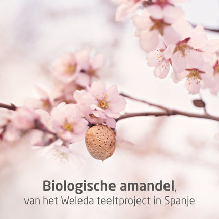 Weleda Mama Zwangerschapsolie - 100ml