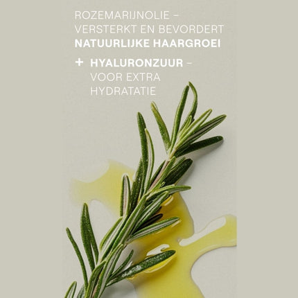 Weleda Rozemarijn Revitaliserend Duo Set - 250+150ml