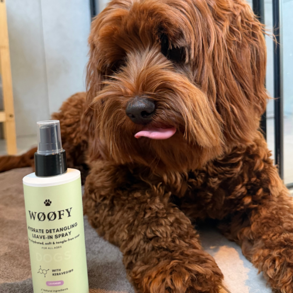 WØØFY Hydrate Detangling Leave-In Spray Coconut - 250ml