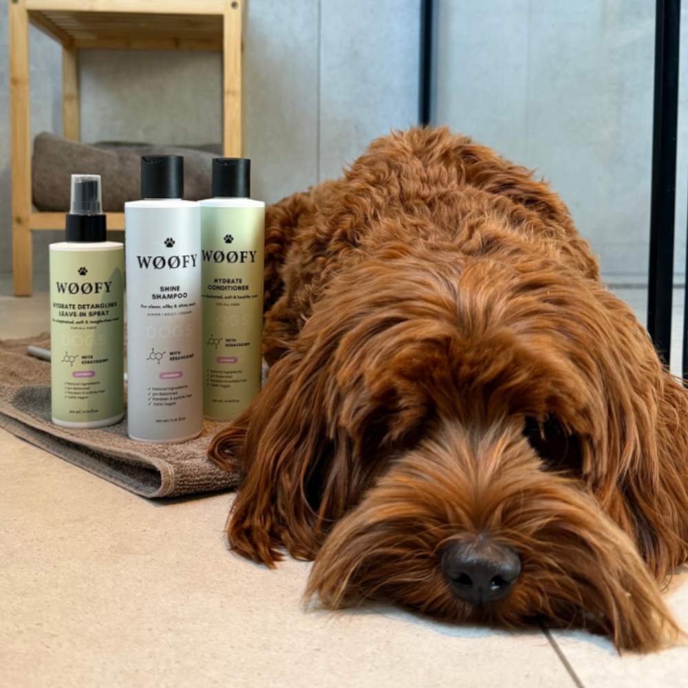 WØØFY Shine Shampoo Lavender