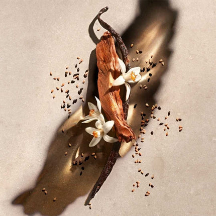 Zadig & Voltaire Zadig Eau de Parfum